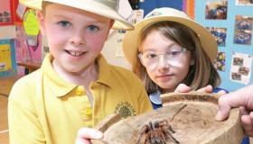 Gallery - Wee critters at Camphill