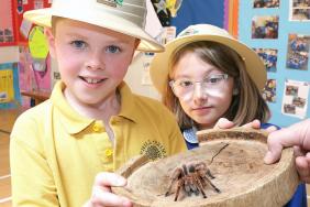 Gallery - Wee critters at Camphill
