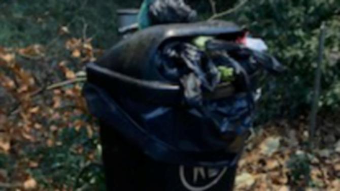 'Dog poop bins' overflowing